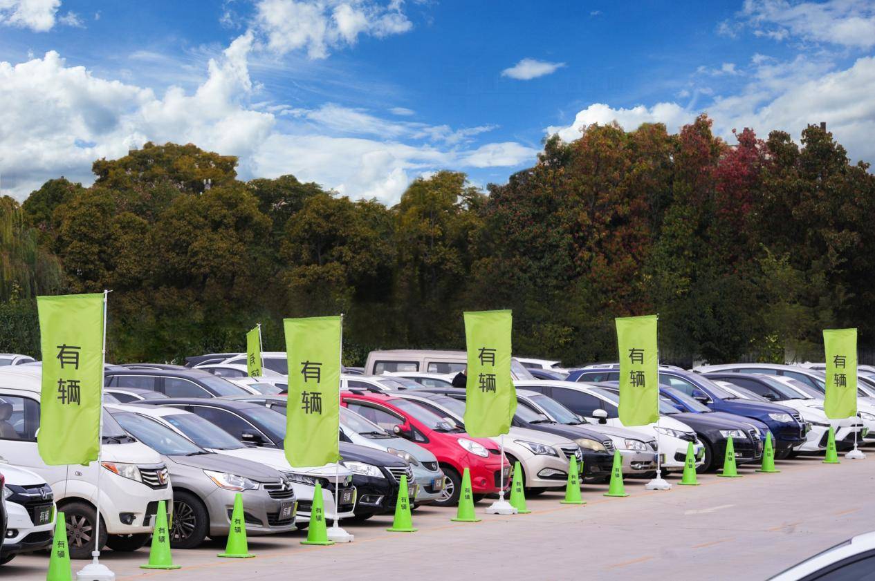 Kaiyun網(wǎng)址 開云有輛聯(lián)合SG Auto發(fā)布2024年二手車價(jià)格趨勢(shì)(圖5)